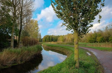 Dutch landscape in the summertime