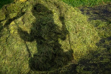 Silhouette of boy on swinging ropes