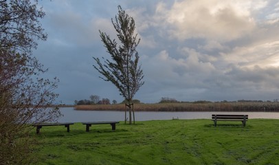 Dutch landscape in the summertime