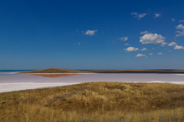 Fototapeta na wymiar Dried salt lake. The water in the lake is pink. View from a low hill. Horizontal