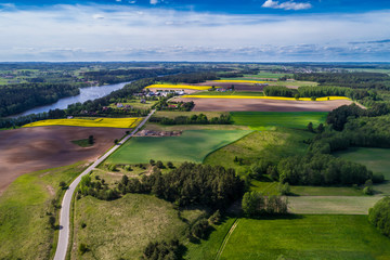 Yellow fields