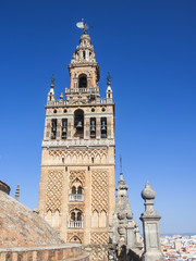 Fototapeta na wymiar Giralda y Catedral / Giralda Tower and Cathedral. Sevilla