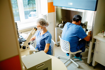 Two scientists sittinb back to back and using a microscope in a laboratory.