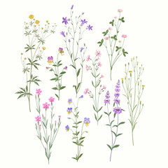 floral set. meadow flowers - 178339036
