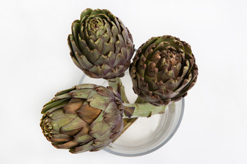 Obraz premium Top view of artichoke flower in vase on white background, close up. Floristics, floral arrangement for presents, interior and decoration concept