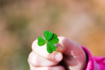 Four leaf clover in small hand