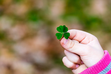 Four leaf clover in small hand