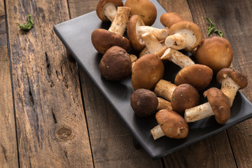 champignon mushrooms on wood

