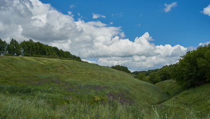 Fototapeta na wymiar Landscape rural area