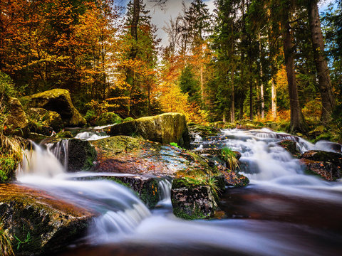 Bodewasserf&auml;lle im Herbst