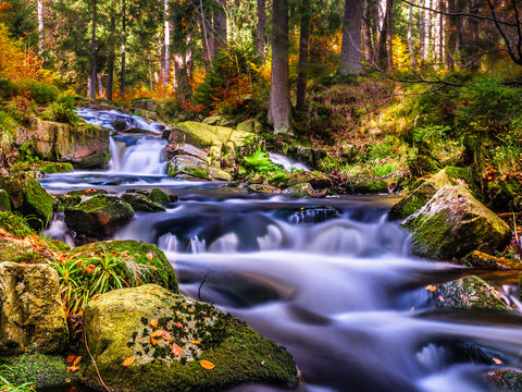 Bodewasserf&auml;lle im Herbst
