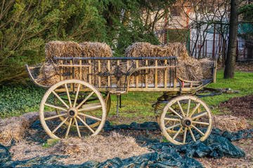 oxcart and straw