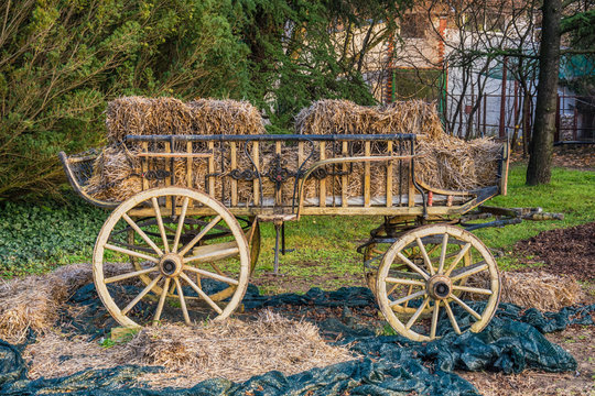 oxcart and straw