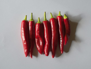 red hot chili pepper