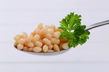 canned white beans