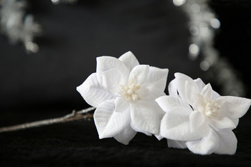 Fototapeta premium Eisblume