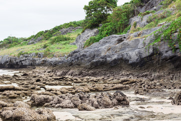 磯・海岸・Seashore