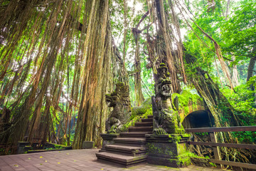 A stone bridge in a rainforest covered with moss, against a background of tall trees and hanging...