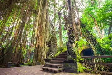 Gardinen Affe Eine Steinbrücke in einem mit Moos bedeckten Regenwald, vor einem Hintergrund aus hohen Bäumen und hängenden Lianen, bahnen sich die Strahlen der hellen Sonne ihren Weg. Drachenbrücke im Affenwald, Ubud Bali Indonesien.  © Valery Bocman
