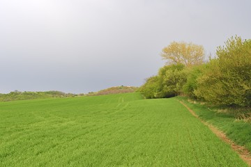 Moravian Green Rolling Landscape. Spring landscape. Moravian Tuscany, south Moravia, Czech Republic, Europe.