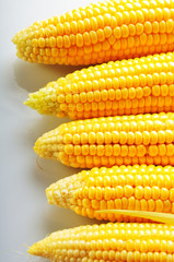Mature corn on a white background