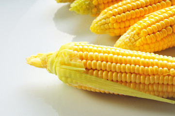 Mature corn on a white background
