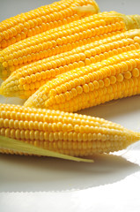 Mature corn on a white background