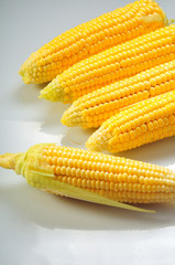 Mature corn on a white background