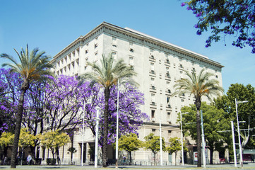 Edificio cuadrado con palmeras y árboles de flores moradas a su alrededor sobre un cielo azul...