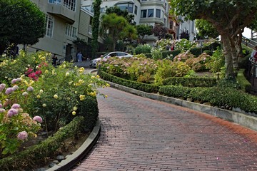 Obraz premium Lombard Street - San Francisco 