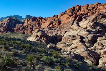 Fototapeta na wymiar Red Rock Canyon - Nevada
