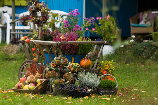 Alter Leiterwagen mit Herbstdekoration