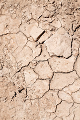 in the desert the dry ground