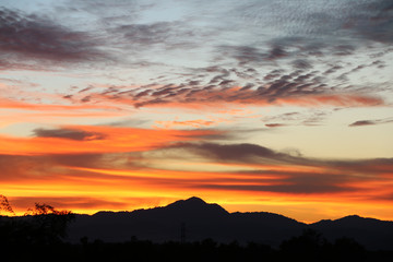 Yellow gold sky evening In tropical countries summer
