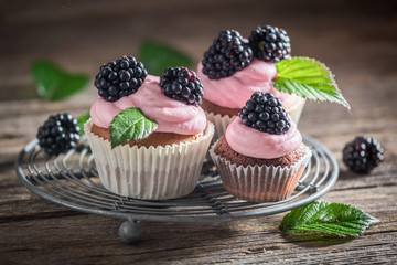 Delicious blackberry cupcake with berries and pink cream