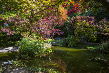 Stunning garden in the villa in autumn, colorful leaves