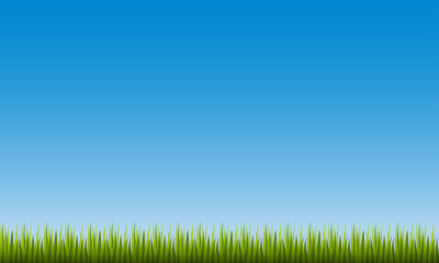 Fototapeta na wymiar Grass isolated on sky background. Realistic green grass template. Vector illustration.