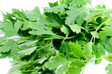 Fresh parsley on white background