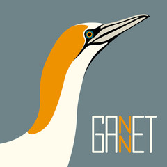 Obraz premium gannet bird vector illustration flat style profile side