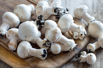 Champignon Mushrooms  on a table