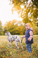The little joyful boy walking with his friend dalmatian dog on nature