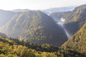 Fototapeta na wymiar Dunajec gorge in area of Szczawnica in Pieniny Mountains (southern Poland) . View from top of Czertezik towards south.