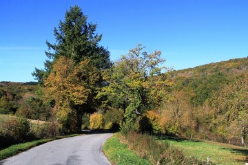 Fototapeta na wymiar petite route en Combrailles, Auvergne