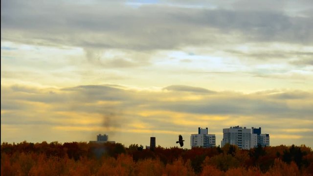 Responses to questions. More than questions answered