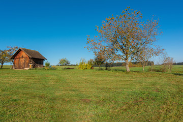 Fototapeta na wymiar Autumn landscape - Black Forest. A garden hut on a field in the early morning.