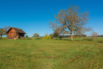 Autumn landscape - Black Forest. A garden hut on a field in the early morning.