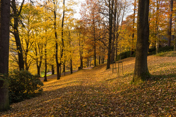 Obraz premium Narrow path lit by soft spring sunlight. Forest spring nature. Spring forest natural landscape with forest trees