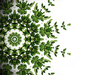 Abstract green background, wild climbing vine liana plant with kaleidoscope effect on white...