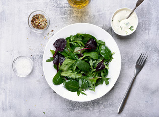 Green salad with leaves of spinach, arugul