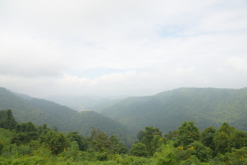 The nature of view point at Khao Yai national park in Thailand